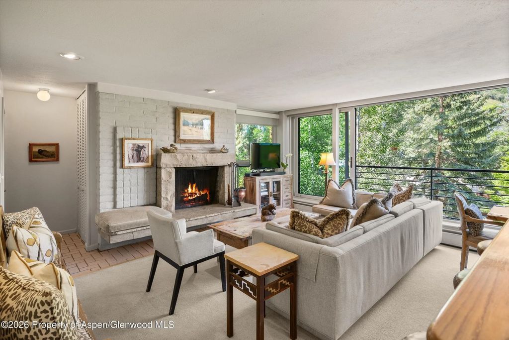 14 of 46 - 728 S Galena Street 202-b, Aspen, CO