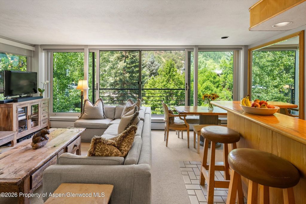 15 of 46 - 728 S Galena Street 202-b, Aspen, CO