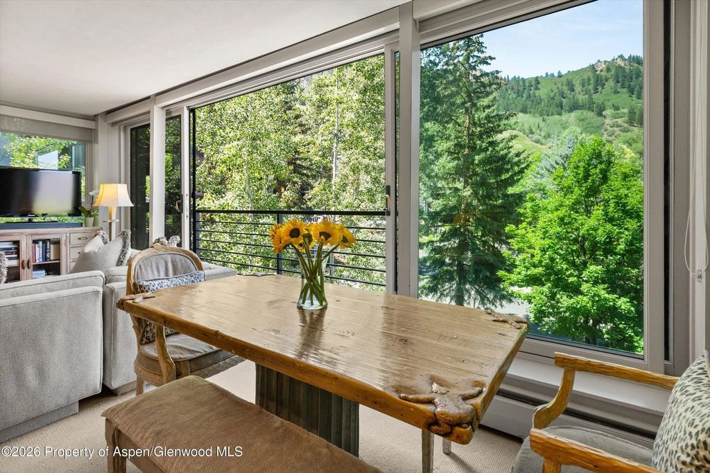 17 of 46 - 728 S Galena Street 202-b, Aspen, CO