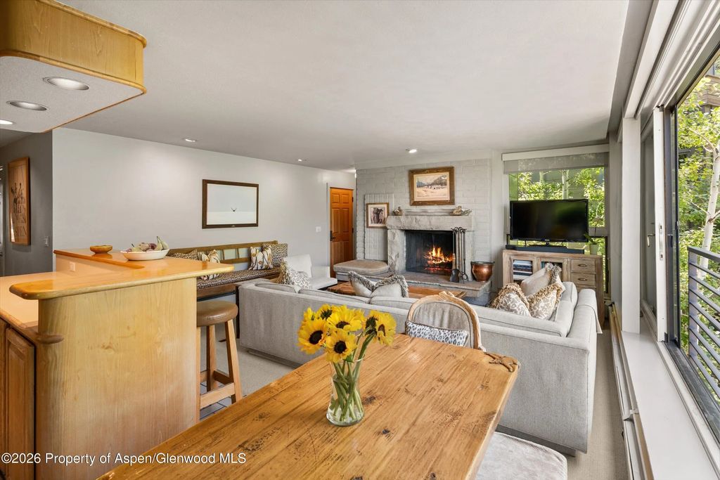18 of 46 - 728 S Galena Street 202-b, Aspen, CO