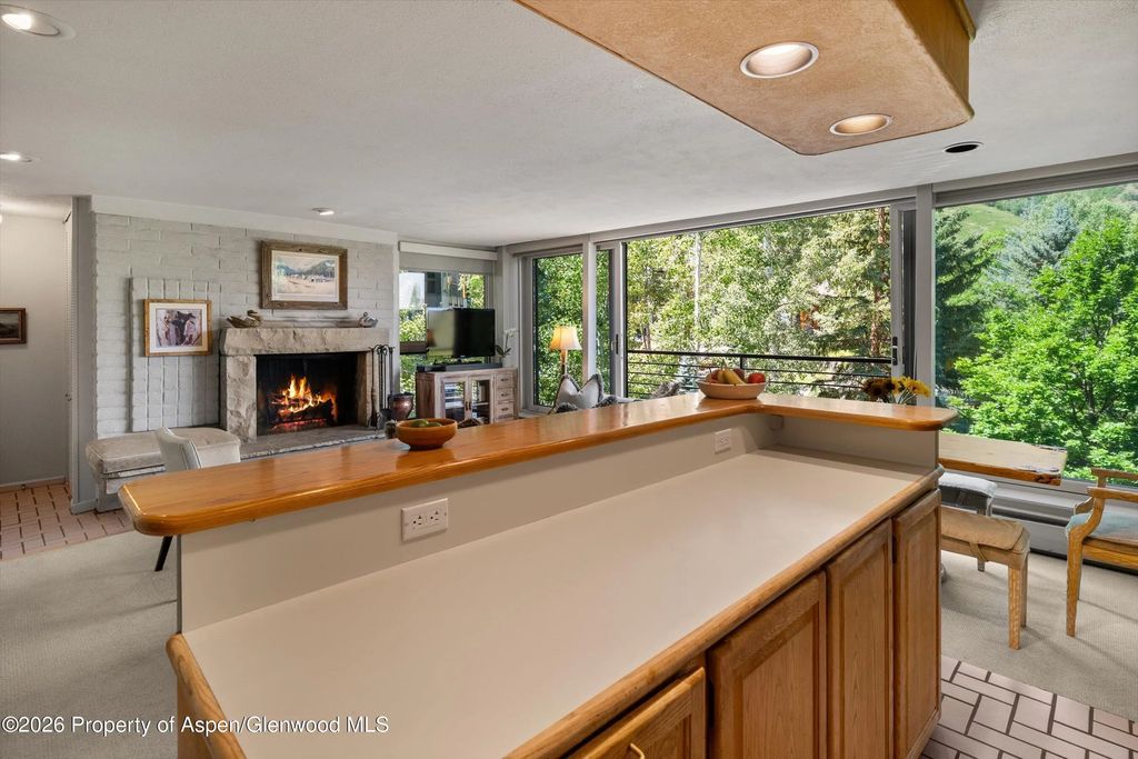 21 of 46 - 728 S Galena Street 202-b, Aspen, CO