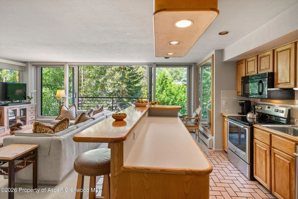 22 of 46 - 728 S Galena Street 202-b, Aspen, CO