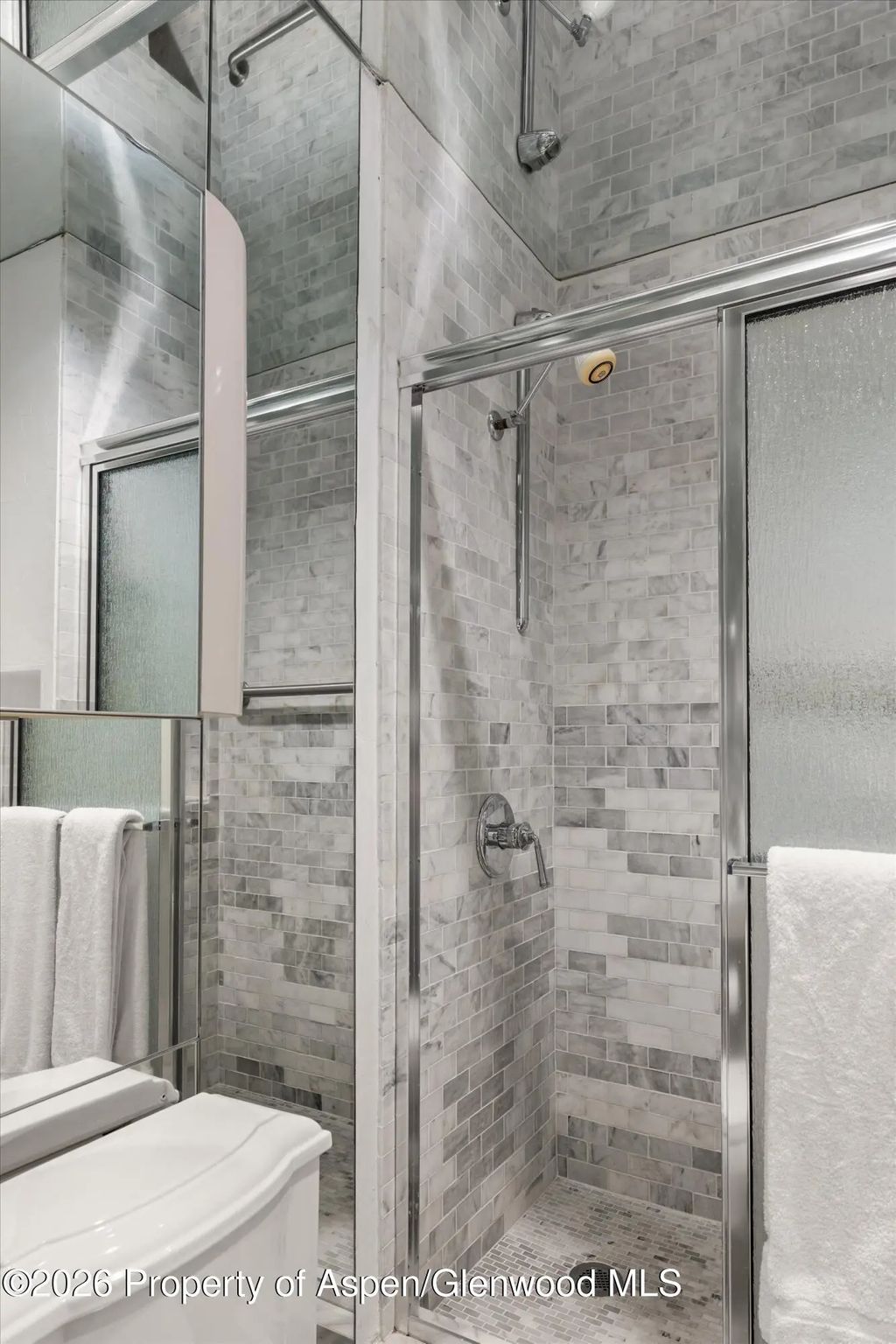 31 of 46 - 728 S Galena Street 202-b, Aspen, CO