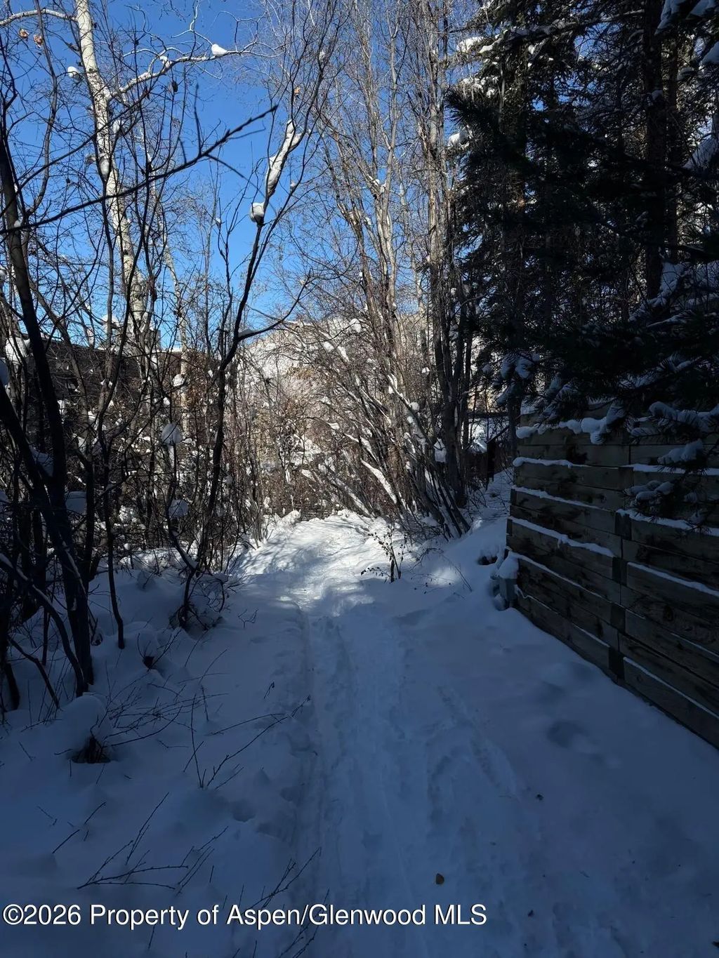 36 of 46 - 728 S Galena Street 202-b, Aspen, CO