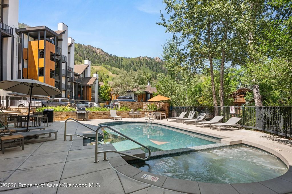 39 of 46 - 728 S Galena Street 202-b, Aspen, CO