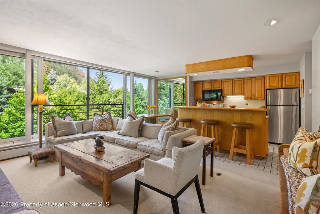 4 of 46 - 728 S Galena Street 202-b, Aspen, CO