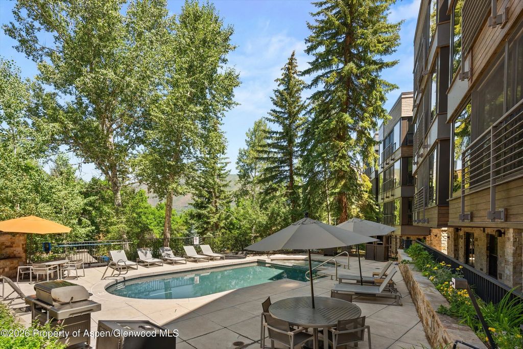 43 of 46 - 728 S Galena Street 202-b, Aspen, CO