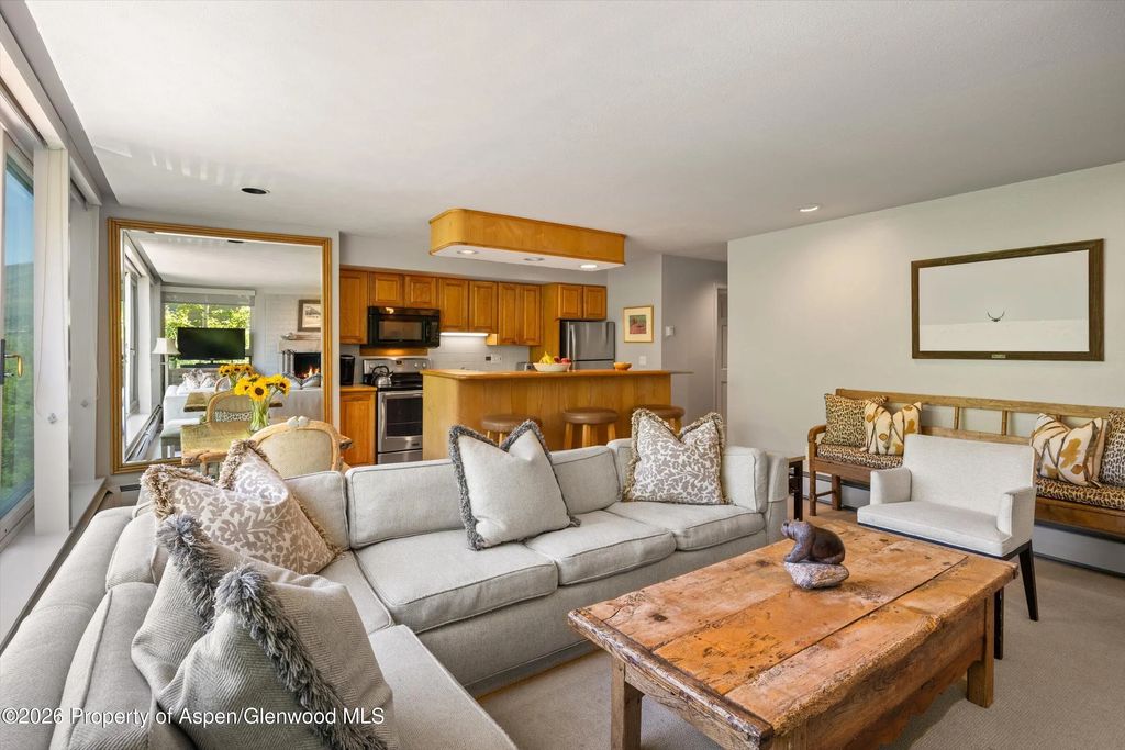5 of 46 - 728 S Galena Street 202-b, Aspen, CO
