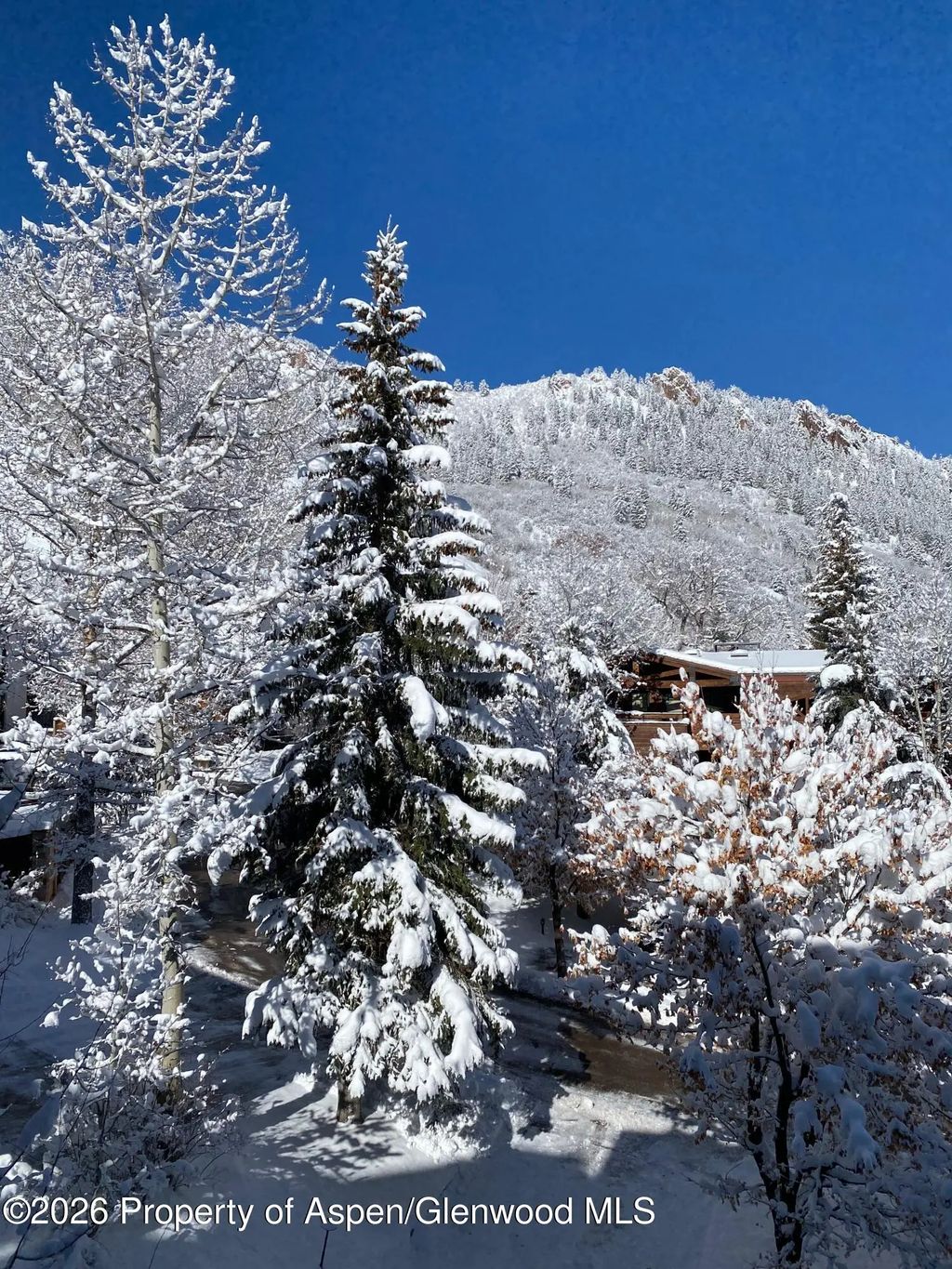 7 of 46 - 728 S Galena Street 202-b, Aspen, CO