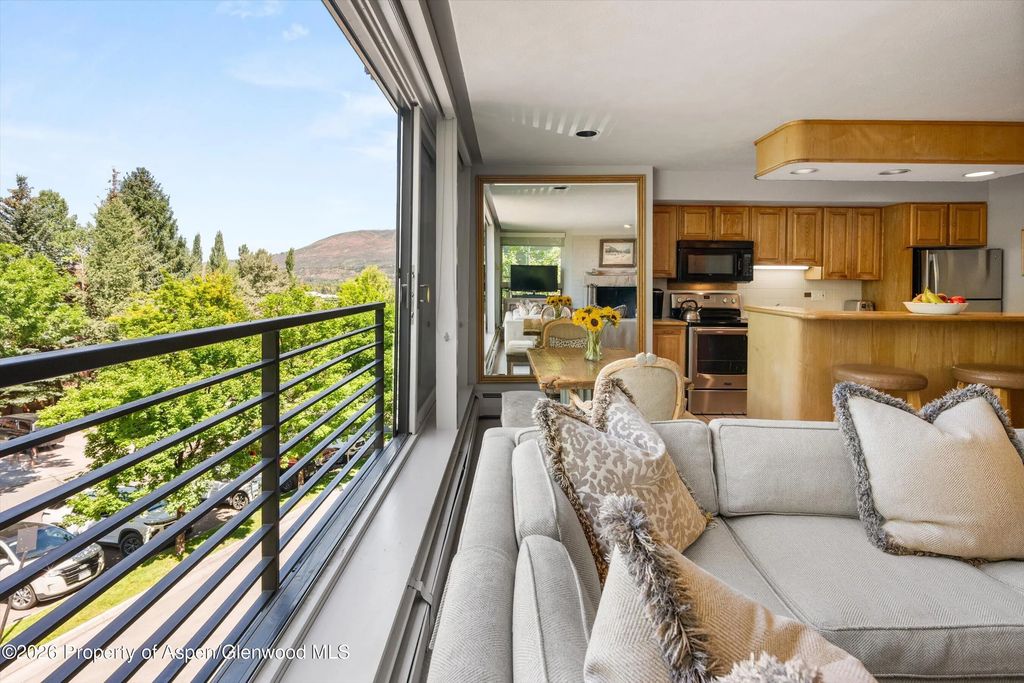 8 of 46 - 728 S Galena Street 202-b, Aspen, CO