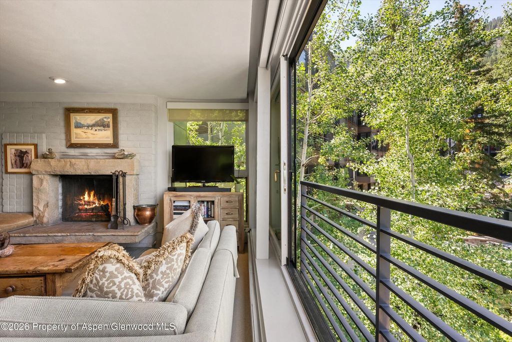 9 of 46 - 728 S Galena Street 202-b, Aspen, CO