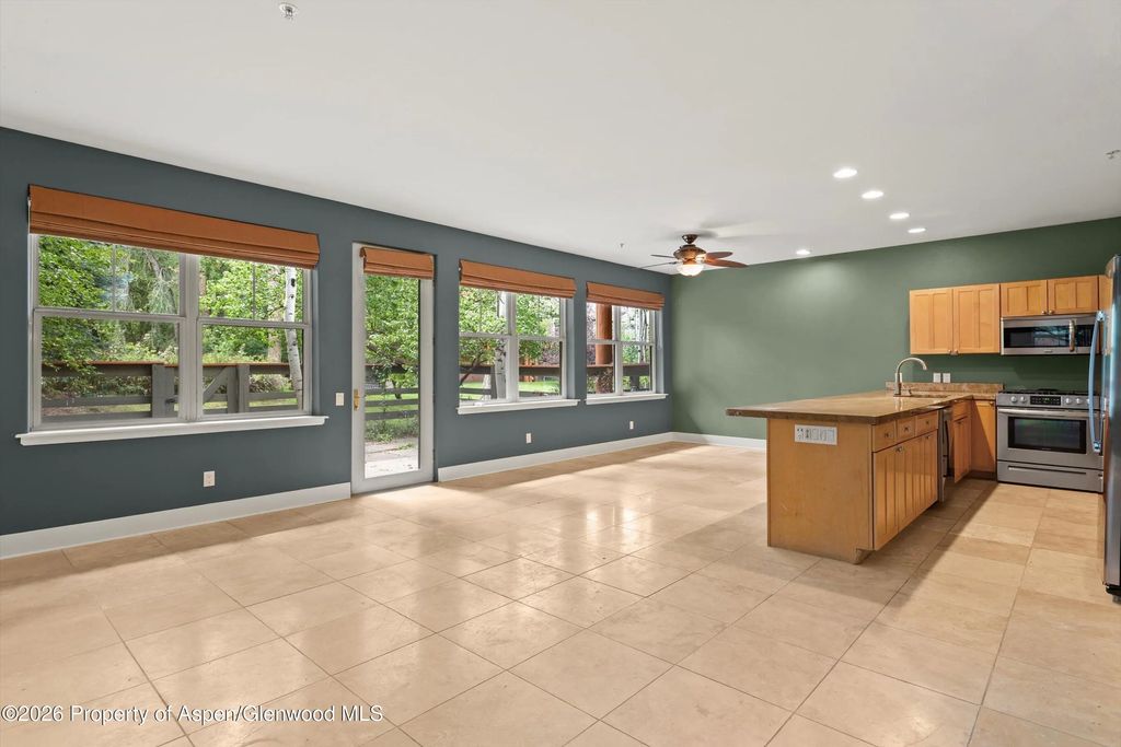 610 Evans Court, Basalt