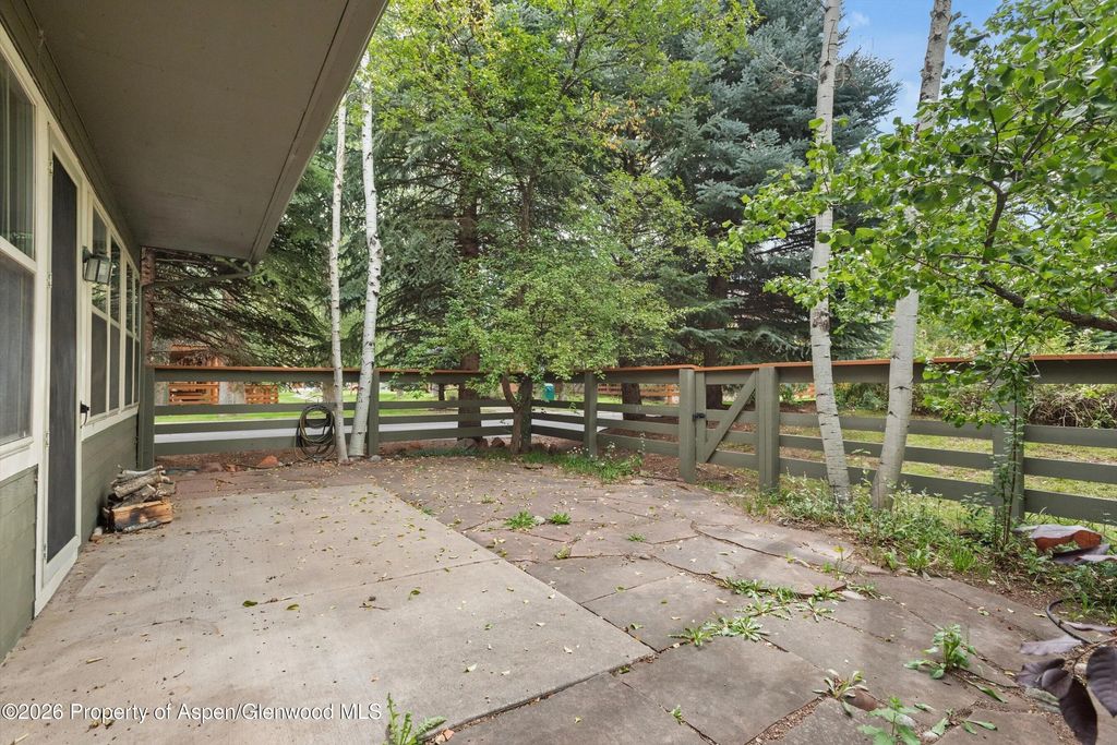37 of 40 - 610 Evans Court, Basalt, CO