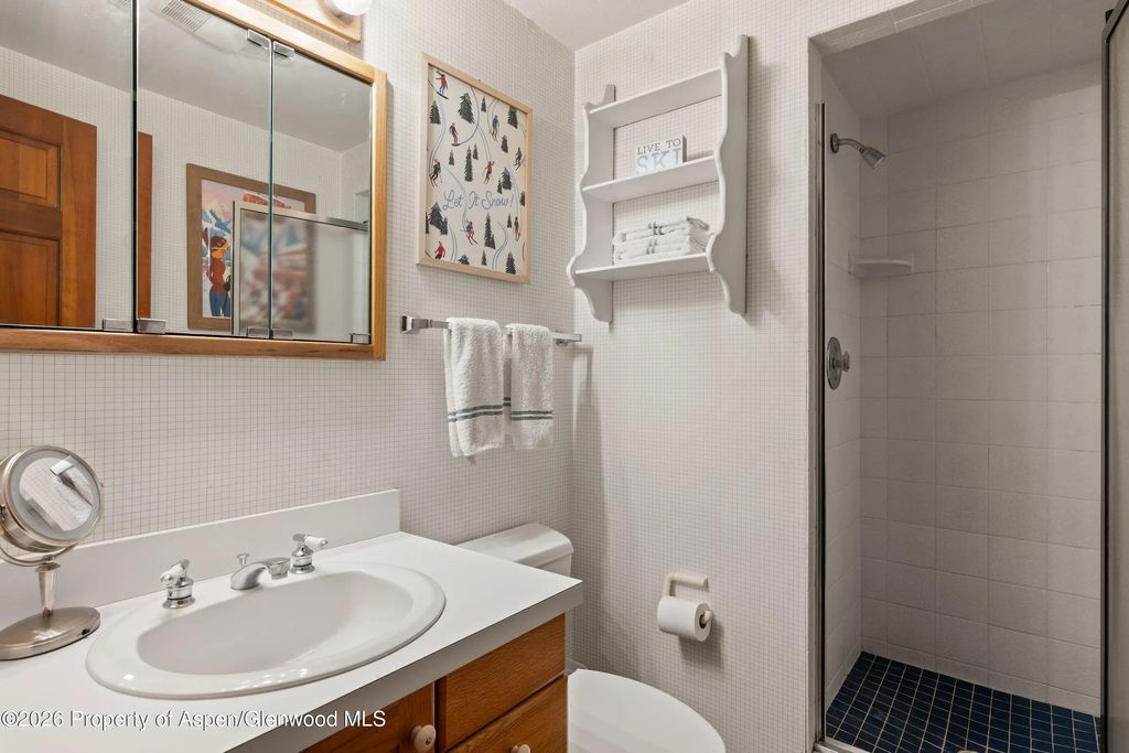 14 of 23 - 1375 Snowbunny Lane, Aspen, CO
