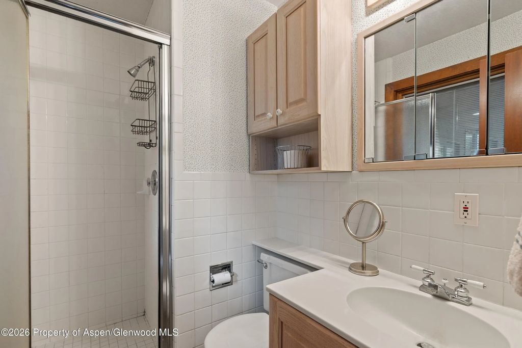 18 of 23 - 1375 Snowbunny Lane, Aspen, CO