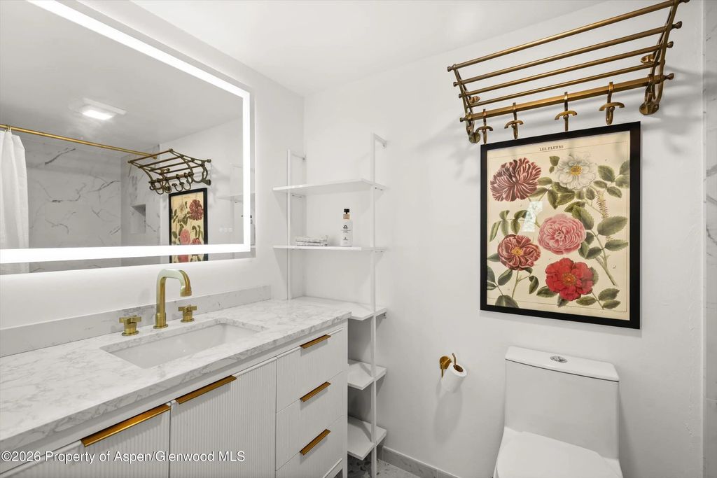10 of 12 - 412 N Mill Street B9, Aspen, CO