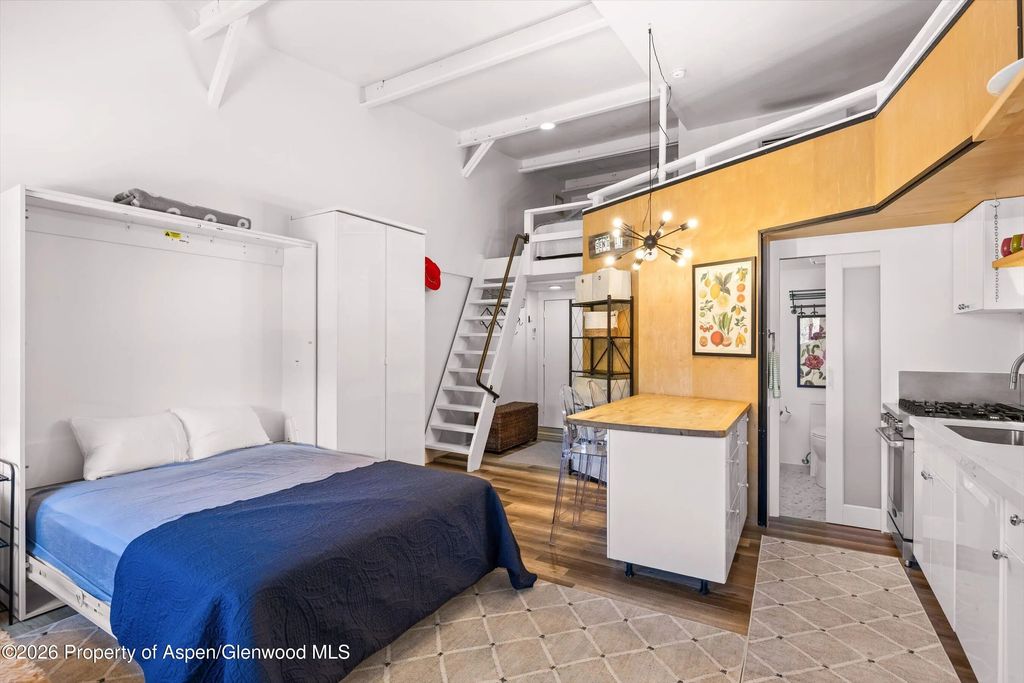 4 of 12 - 412 N Mill Street B9, Aspen, CO
