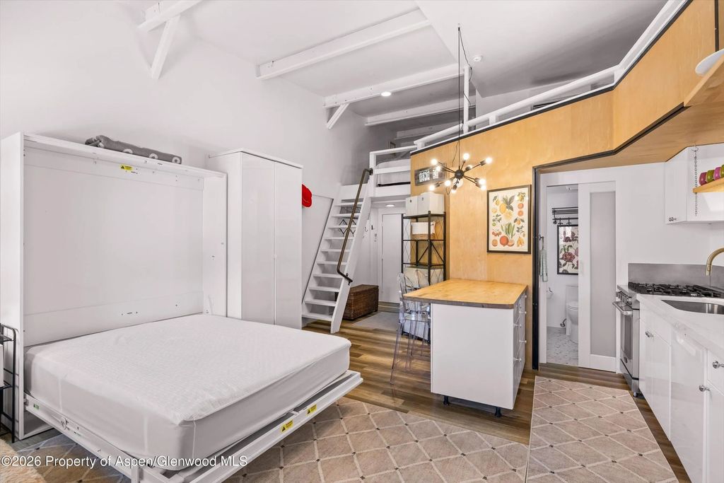 5 of 12 - 412 N Mill Street B9, Aspen, CO