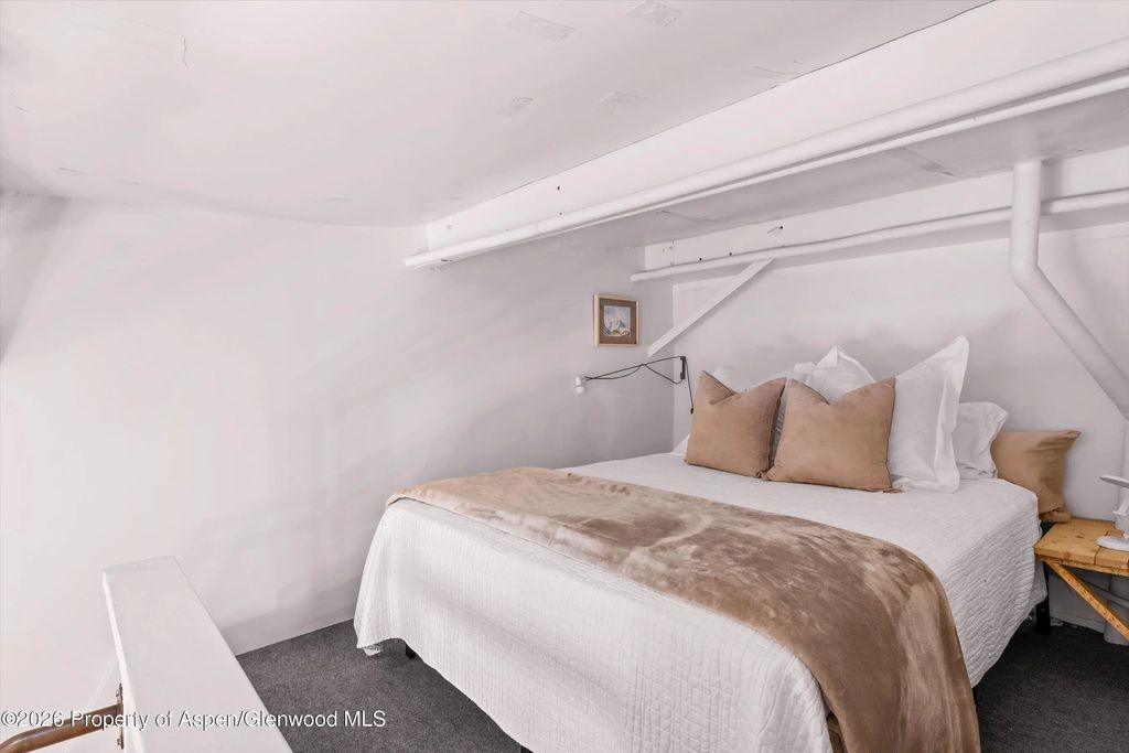 8 of 12 - 412 N Mill Street B9, Aspen, CO