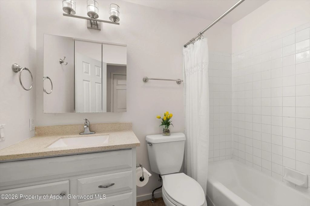14 of 26 - 372 S 8th Street, Carbondale, CO