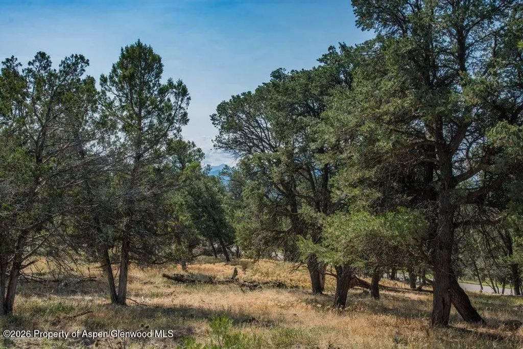 6 of 9 - Tbd Sopris Lane Lot 13, Carbondale, CO
