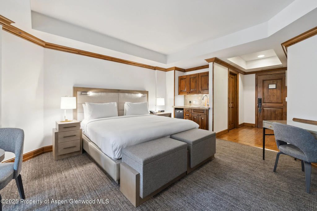 17 of 29 - 415 E Dean St., Unit 20, Week 27, Aspen, CO