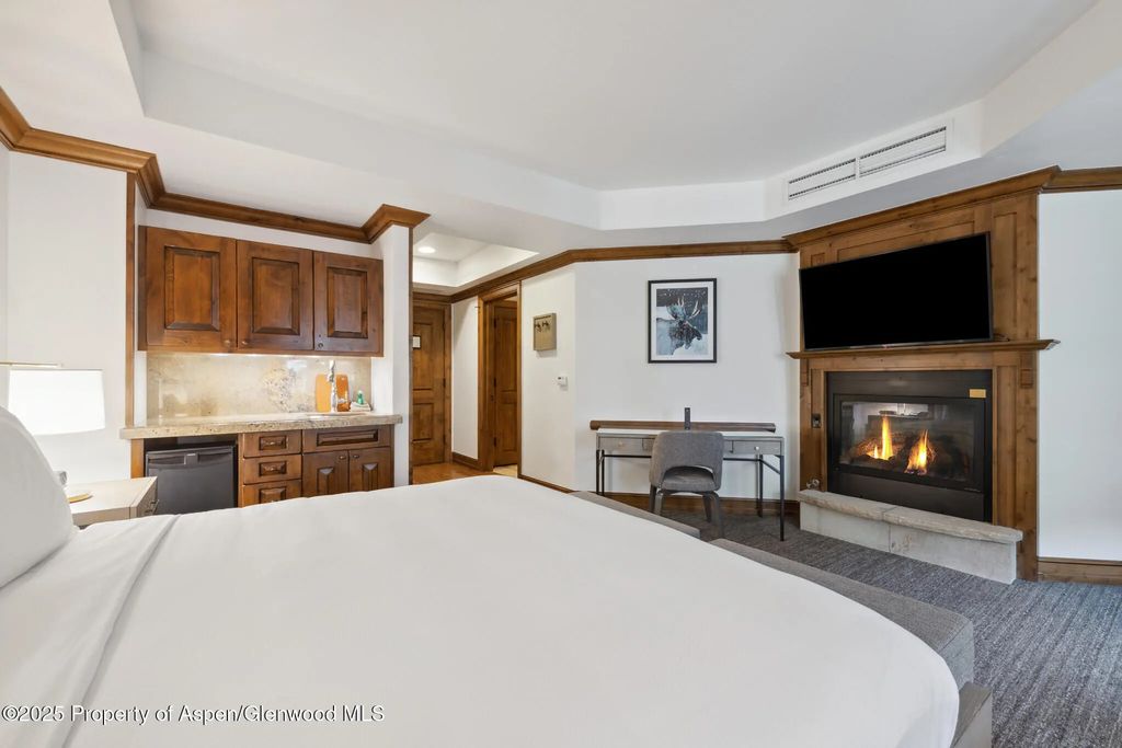 19 of 29 - 415 E Dean St., Unit 20, Week 27, Aspen, CO