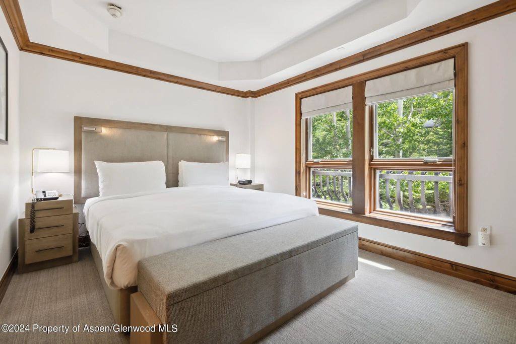 10 of 24 - 415 E Dean St, Unit 18, Week 28, Aspen, CO