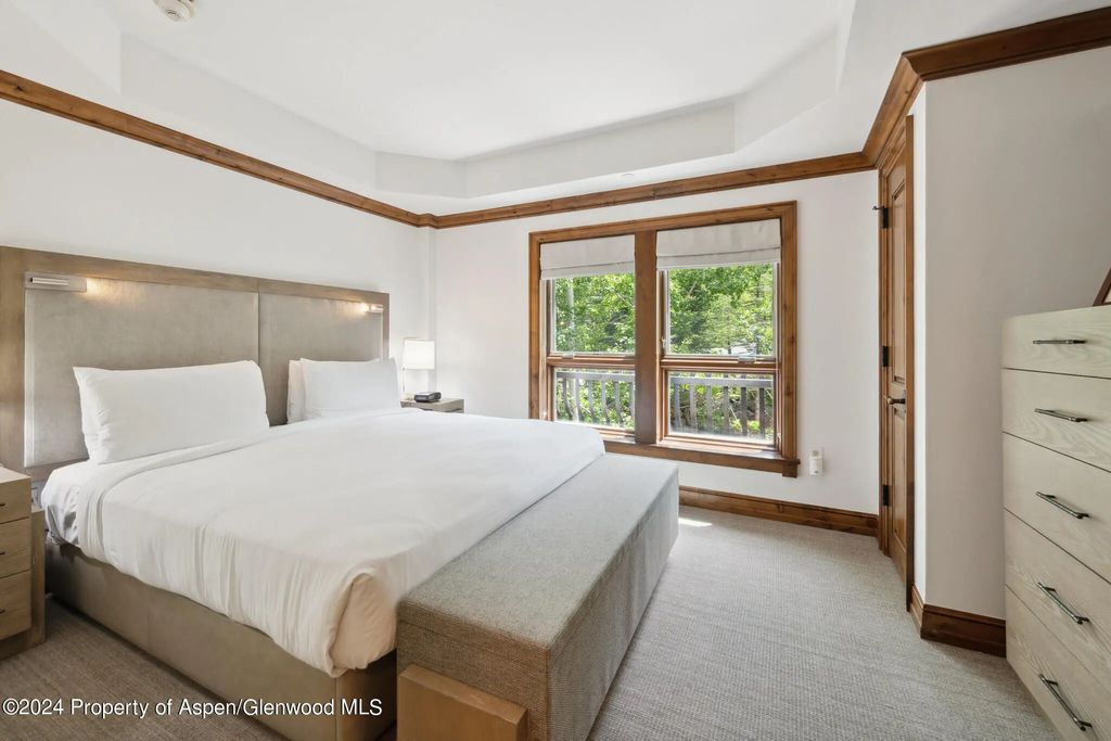 9 of 24 - 415 E Dean St, Unit 18, Week 28, Aspen, CO