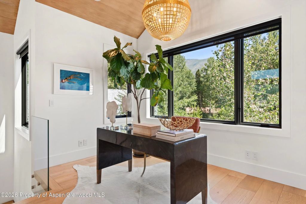 18 of 64 - 737 Cemetery Lane S, Aspen, CO