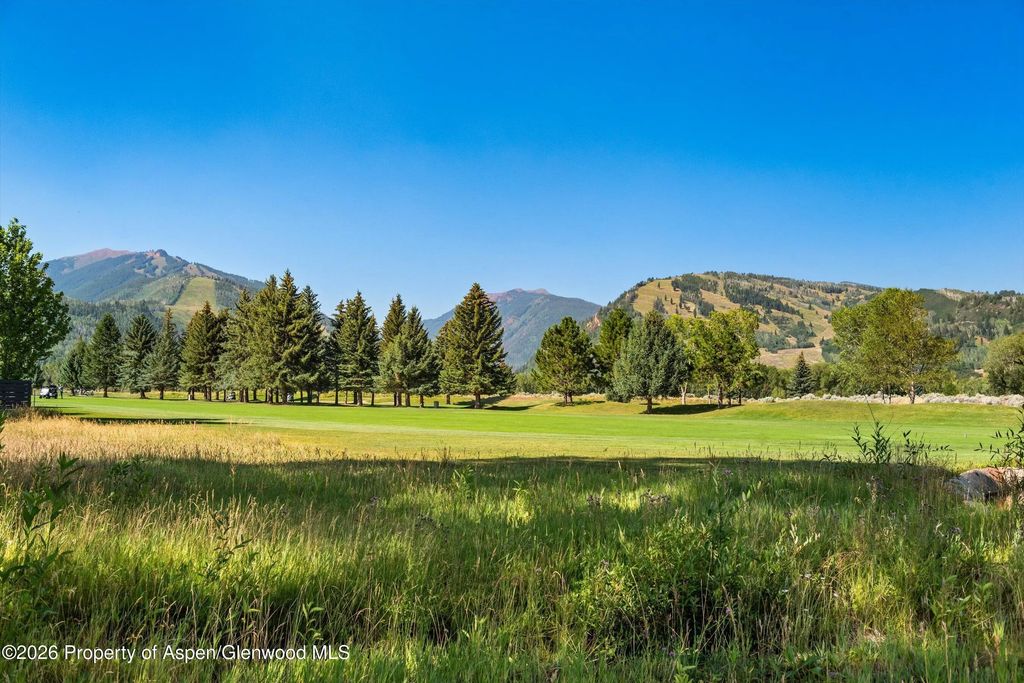 61 of 64 - 737 Cemetery Lane S, Aspen, CO