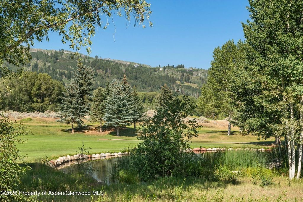 62 of 64 - 737 Cemetery Lane S, Aspen, CO