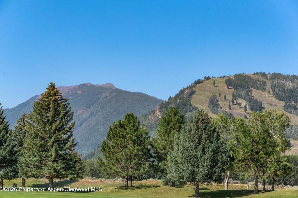 63 of 64 - 737 Cemetery Lane S, Aspen, CO