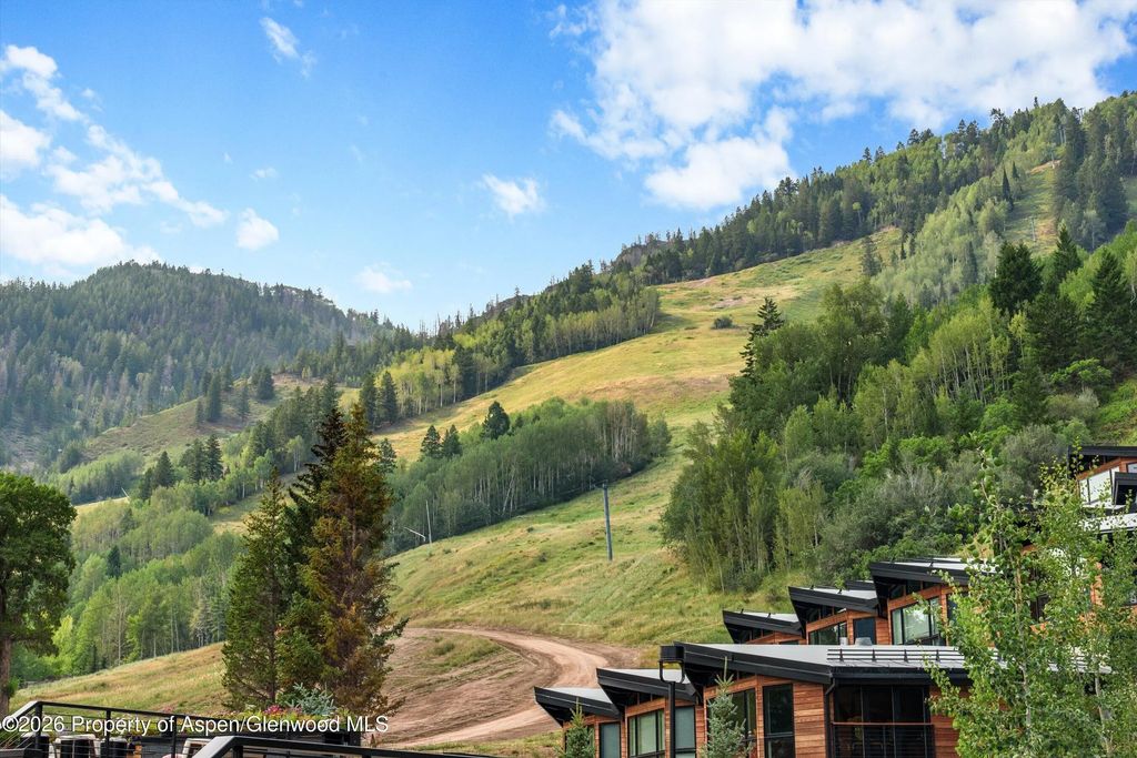 34 of 37 - 755 S Aspen Street A, Aspen, CO