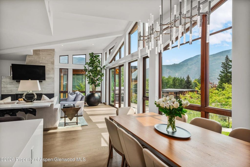 5 of 37 - 755 S Aspen Street A, Aspen, CO