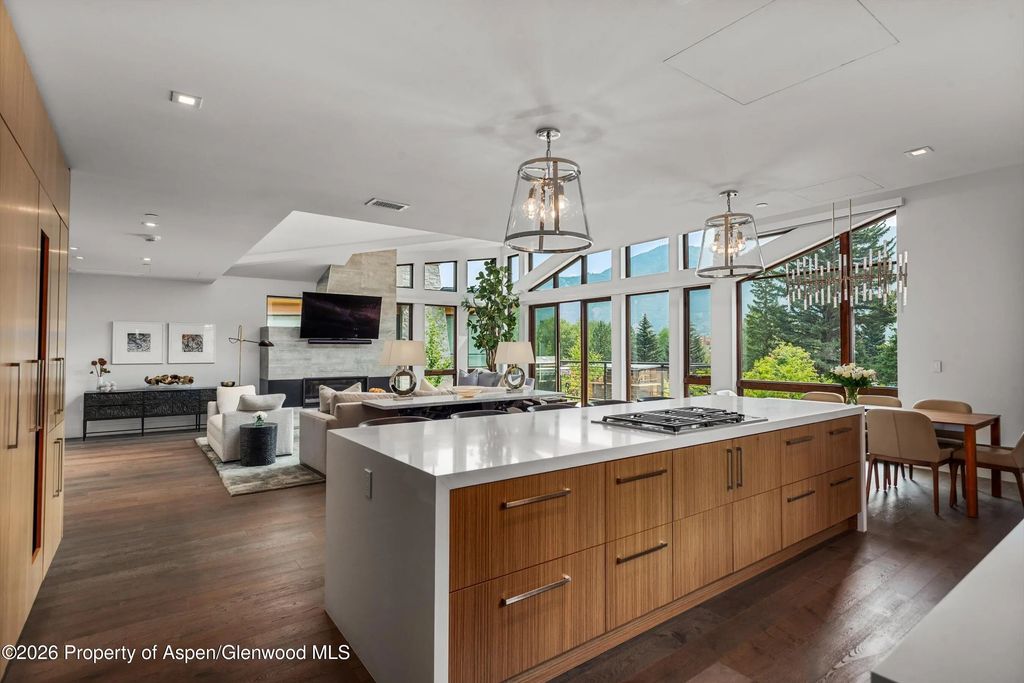 8 of 37 - 755 S Aspen Street A, Aspen, CO