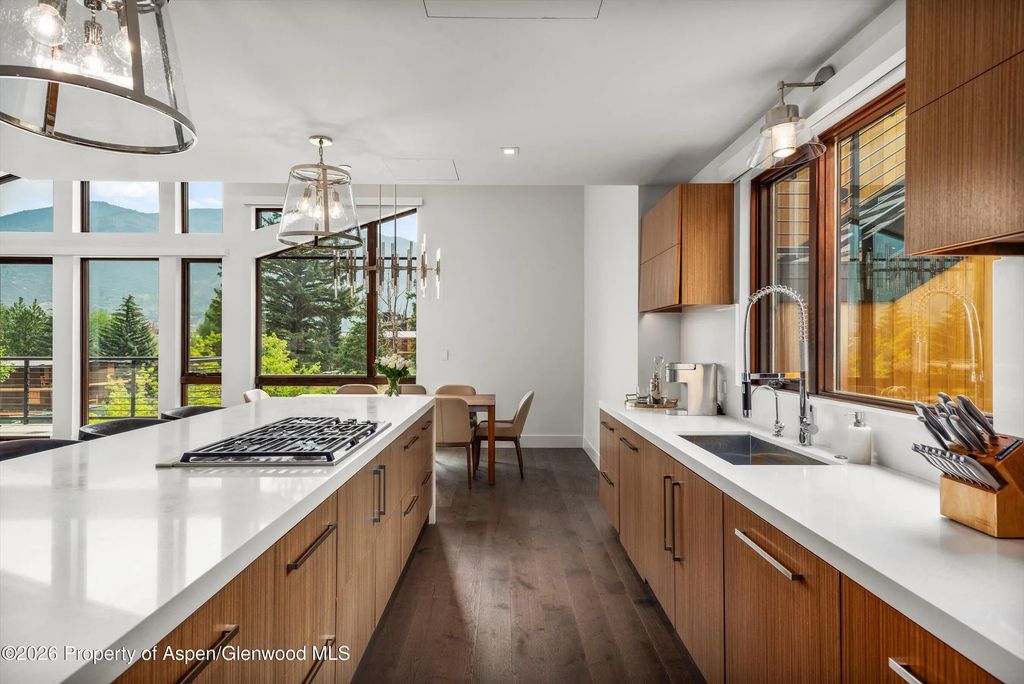9 of 37 - 755 S Aspen Street A, Aspen, CO