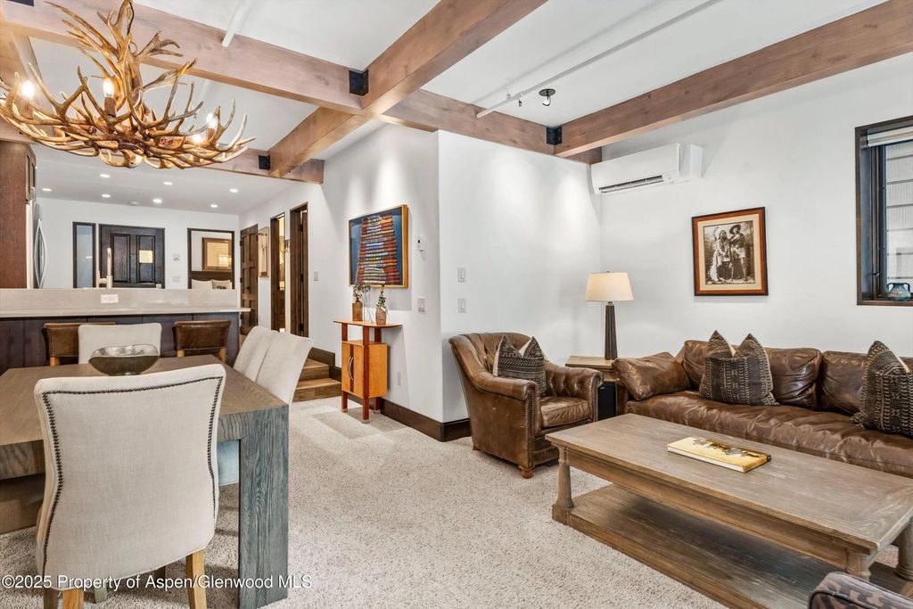 6 of 23 - 610 S West End Street E103, Aspen, CO