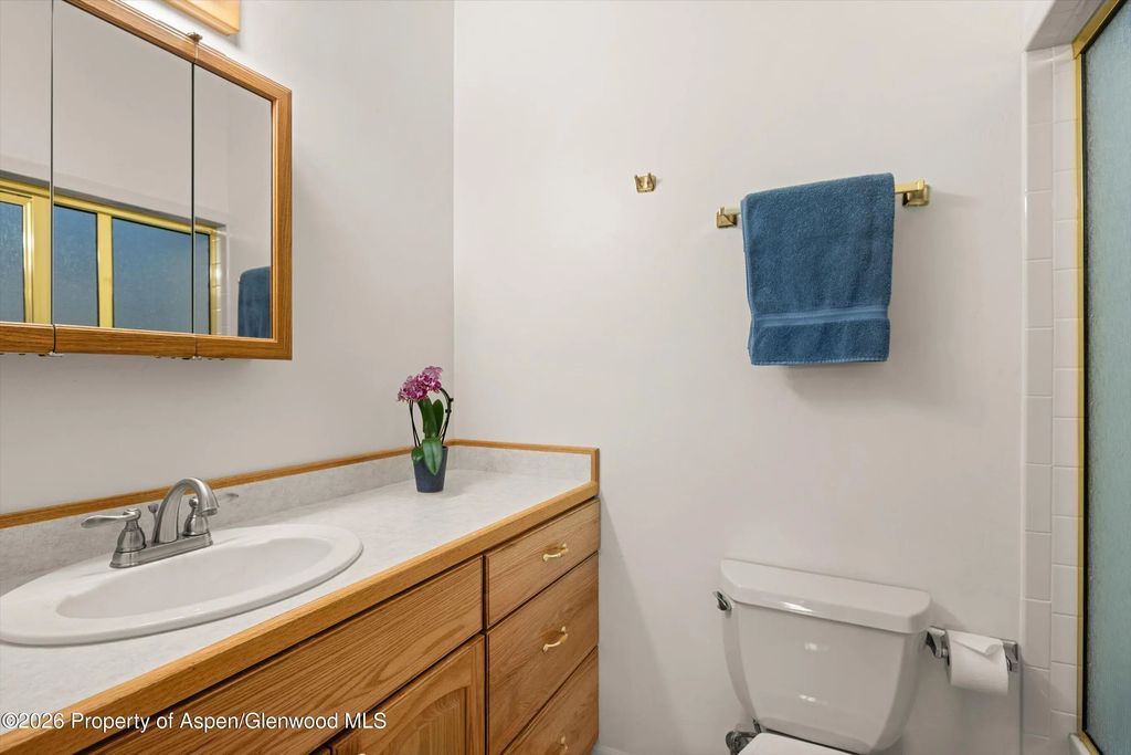 14 of 45 - 6135 County Road 109, Carbondale, CO