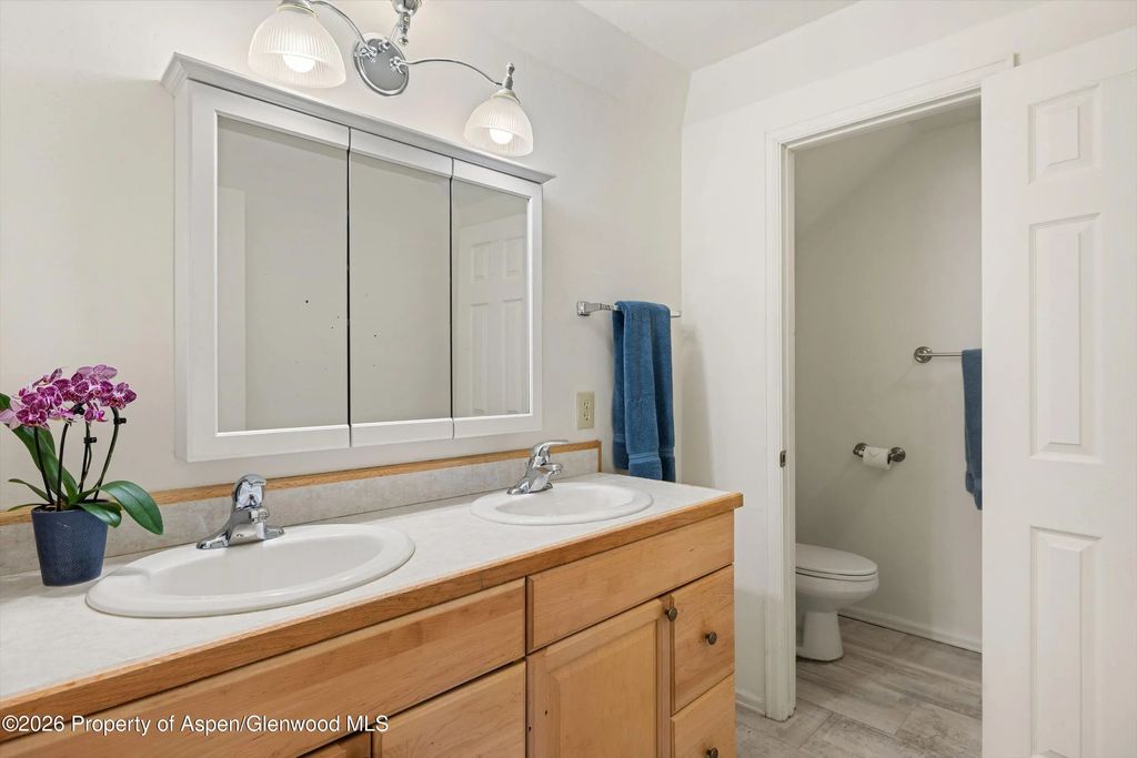 37 of 45 - 6135 County Road 109, Carbondale, CO