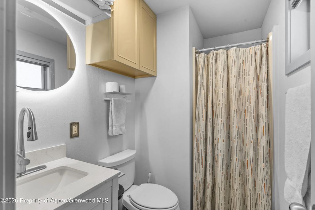 10 of 17 - 175 Midland Avenue 6, Basalt, CO
