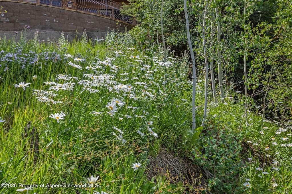 104 of 109 - 281 Pine Crest Drive, Snowmass Village, CO