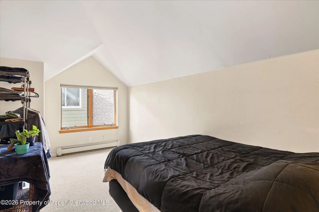 10 of 11 - 265 Southside Drive, Basalt, CO