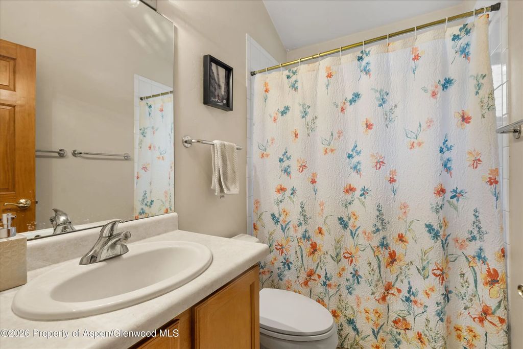 9 of 11 - 265 Southside Drive, Basalt, CO