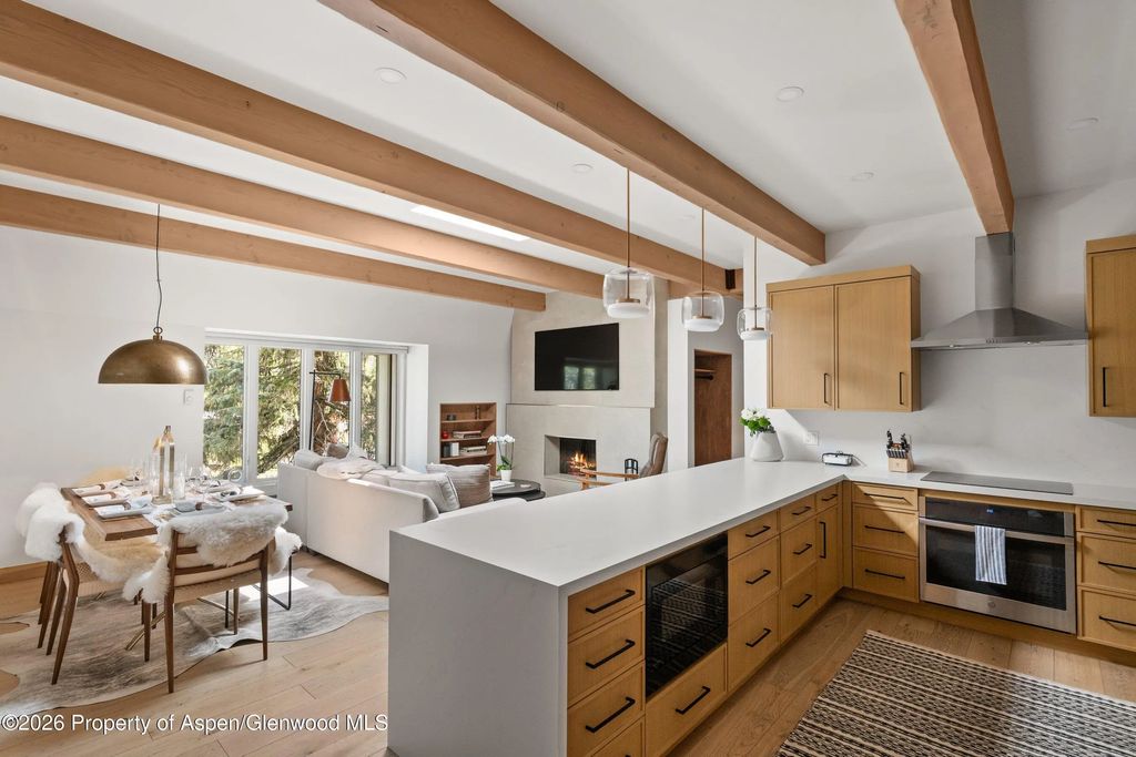 731 E Durant Avenue 17, Aspen