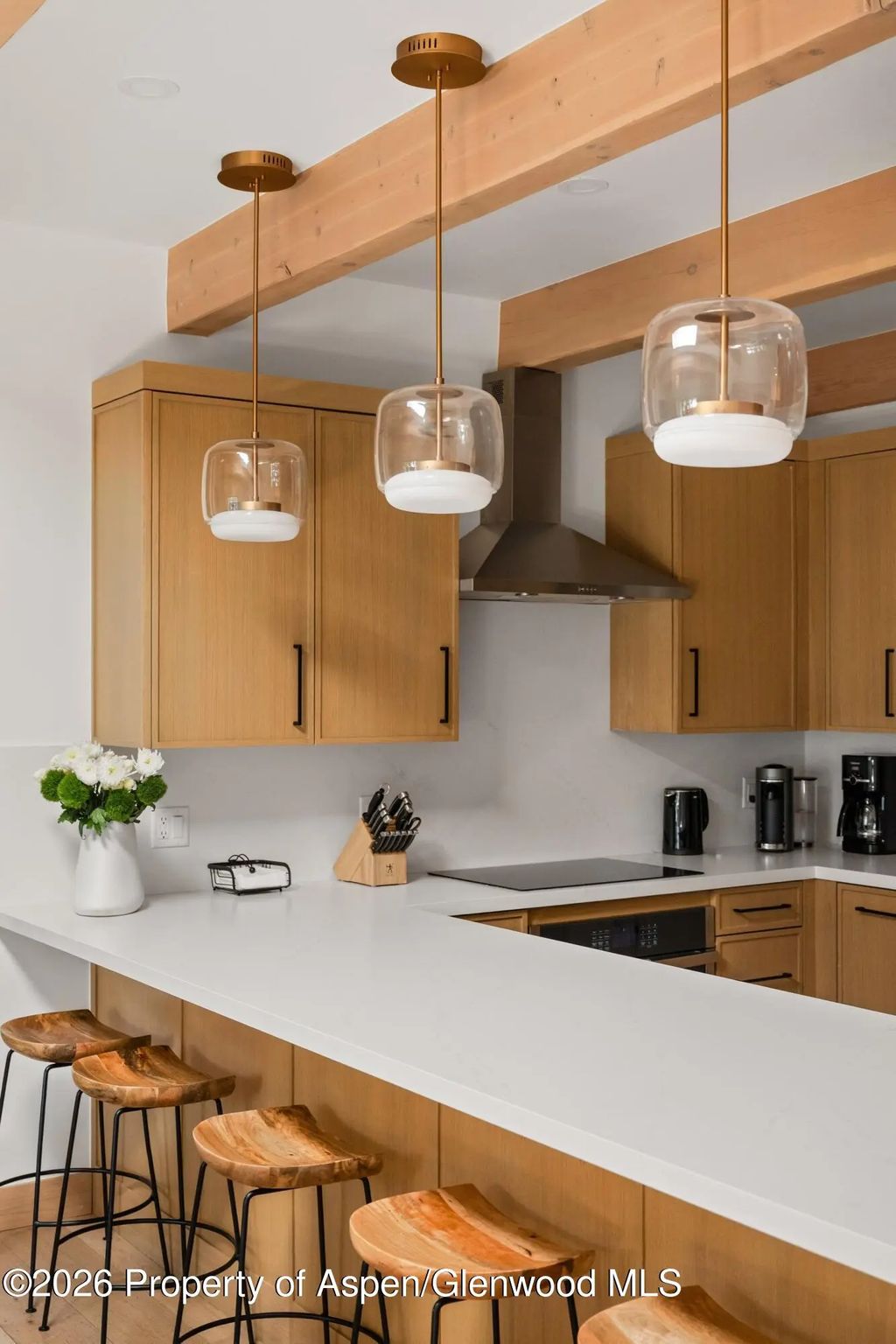 12 of 27 - 731 E Durant Avenue 17, Aspen, CO