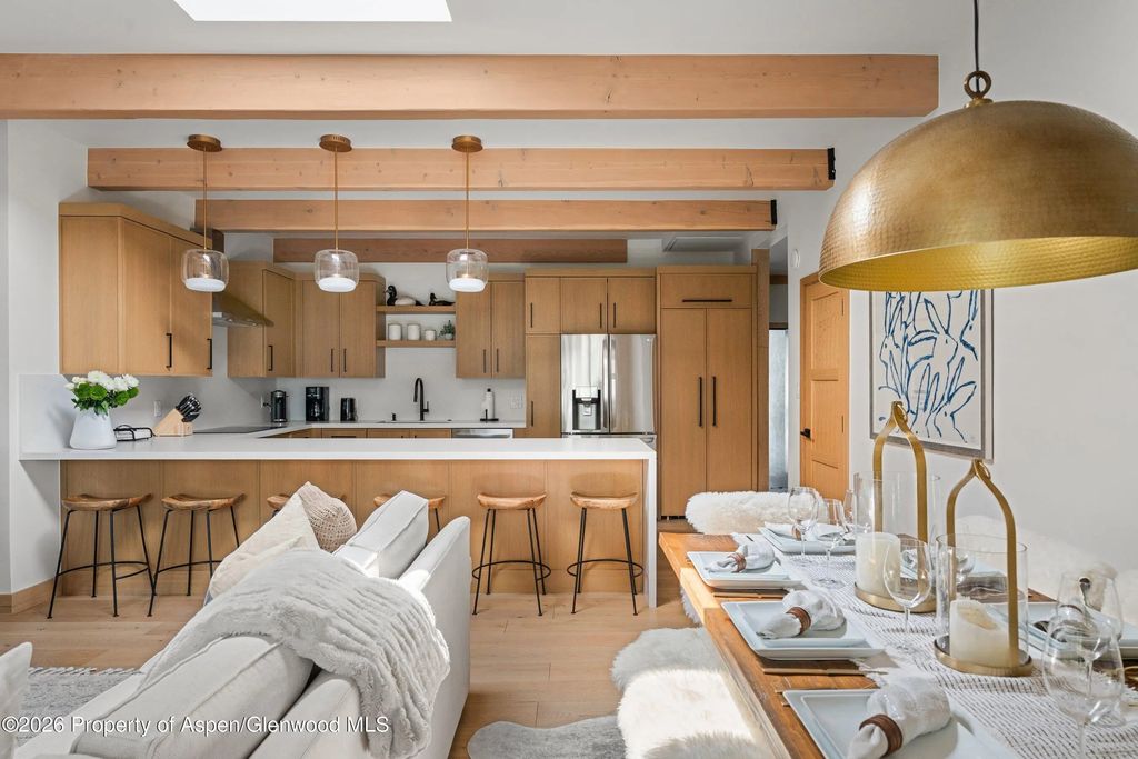 5 of 27 - 731 E Durant Avenue 17, Aspen, CO
