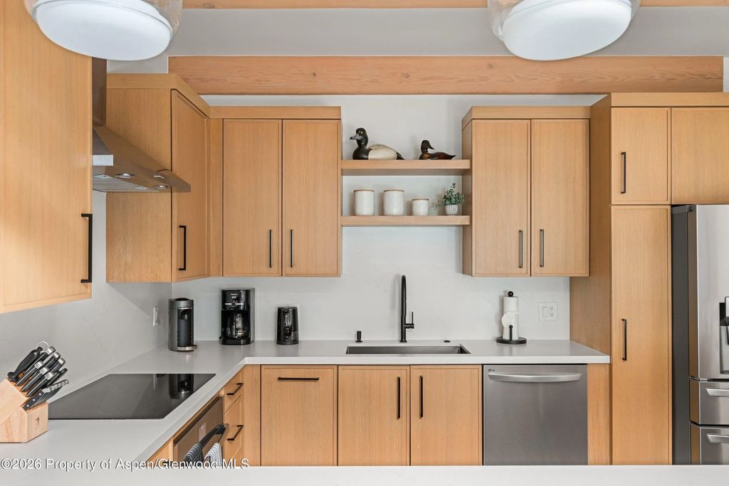 9 of 27 - 731 E Durant Avenue 17, Aspen, CO