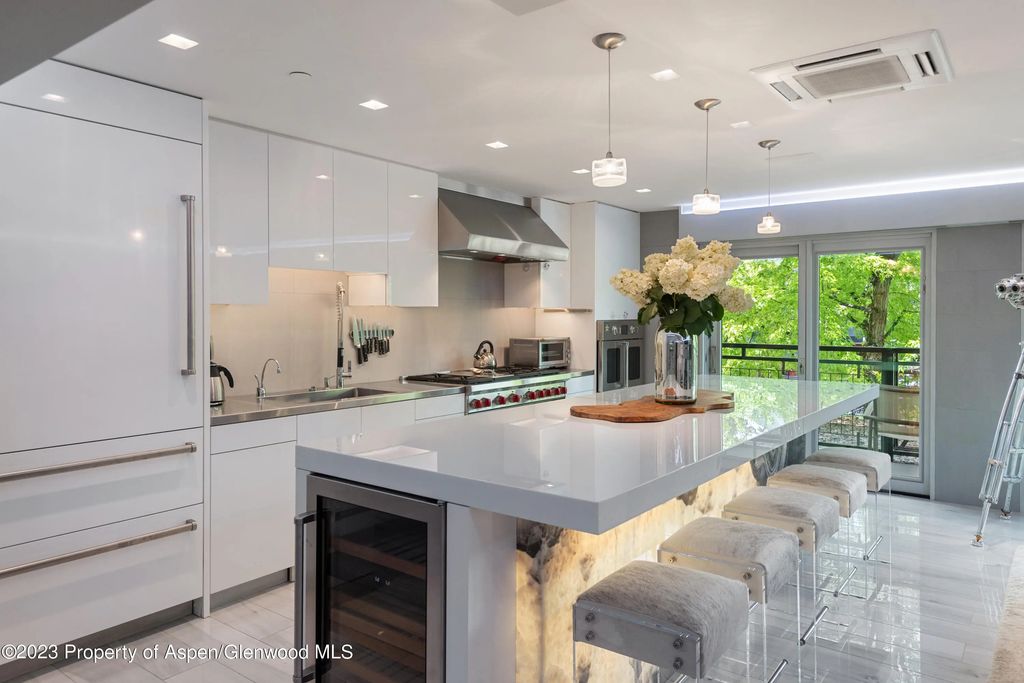 555 E Durant Avenue 2l, Aspen
