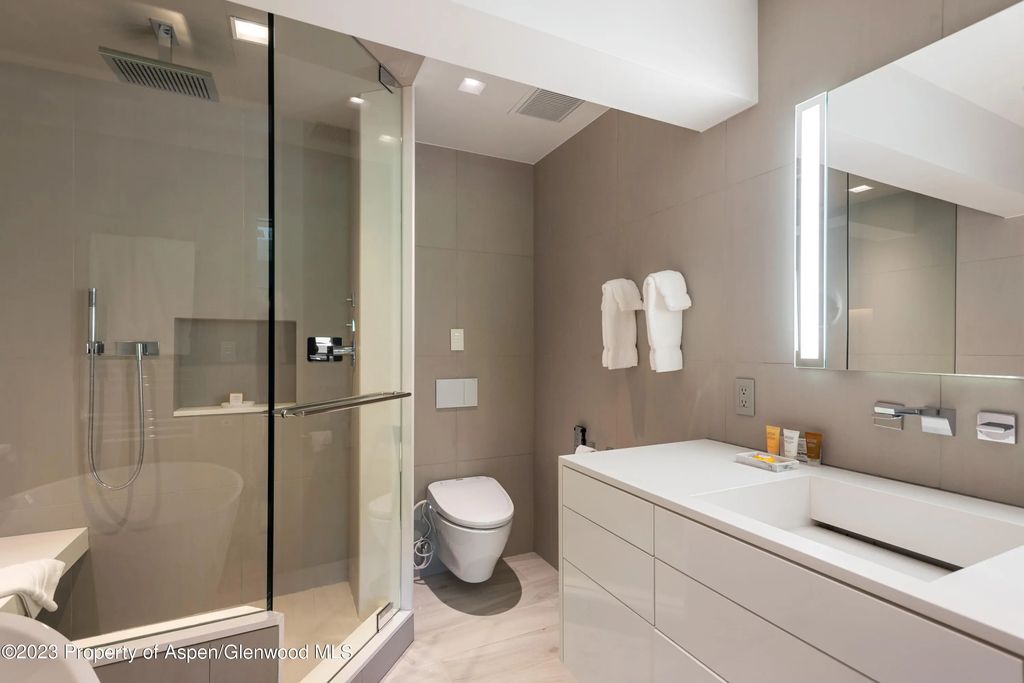 11 of 19 - 555 E Durant Avenue 2l, Aspen, CO